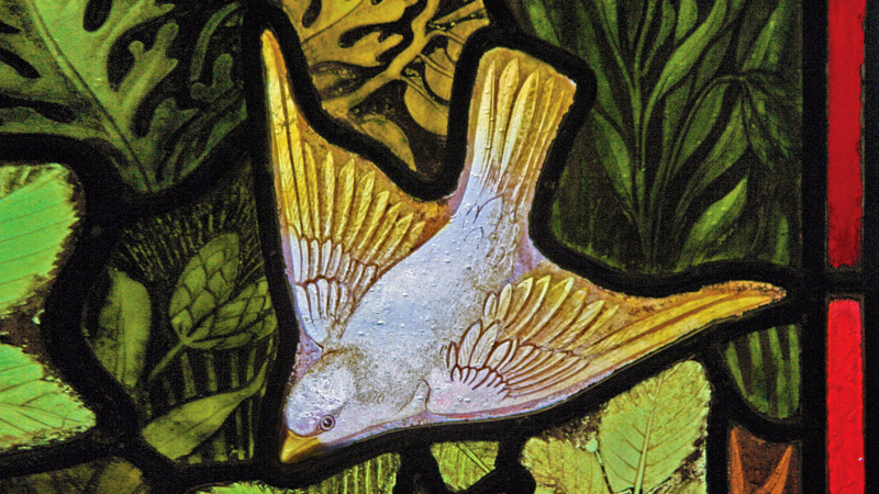 Stained glass window detail of a dove, from Emmanuel,